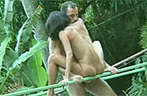 Jungle sex